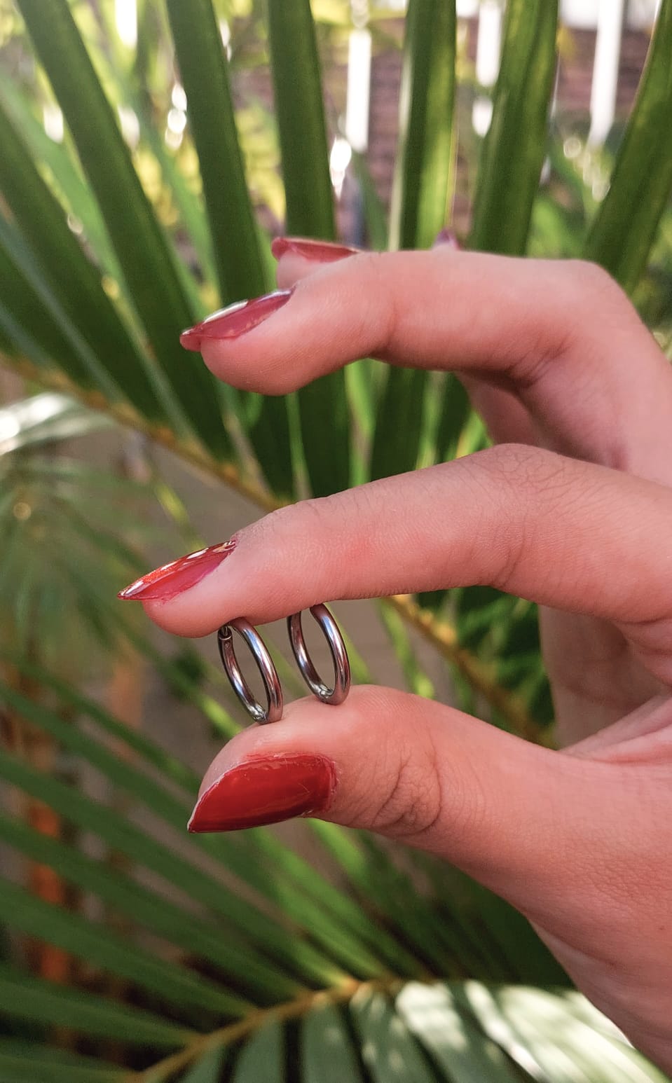 Brinco Argola - Aço Inoxidável